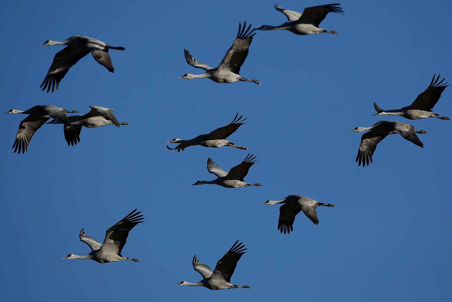 2018 Wings over Willcox